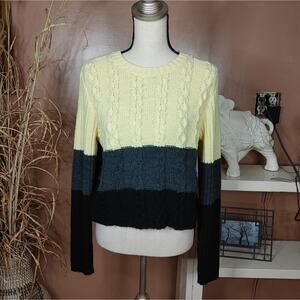 Arizona Size Large Acrylic Yellow Grey Gray Black Sweater Shorter Length Knit